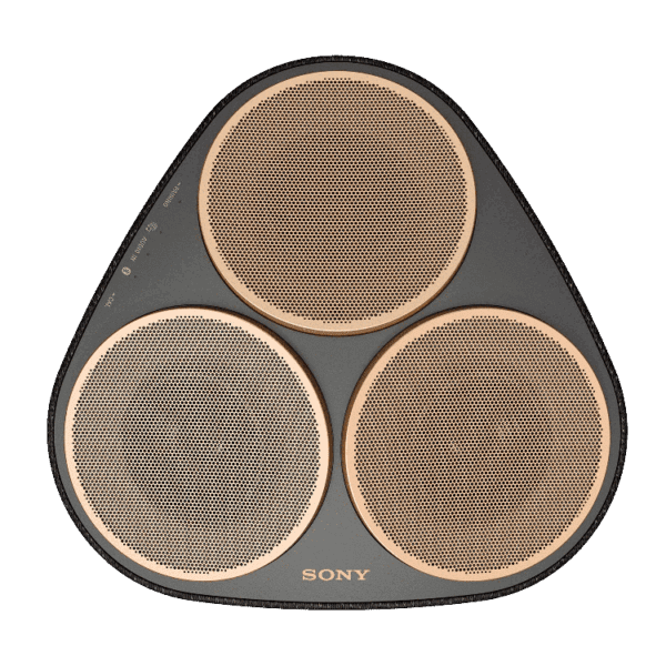 Sony Multi Room Speaker SRS RA5000 - Image 2