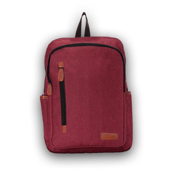 cougar s31 BackPack Casual bag for laptop and school - multi-color - Image 5